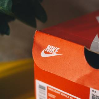 Shoe boxes wallpaper