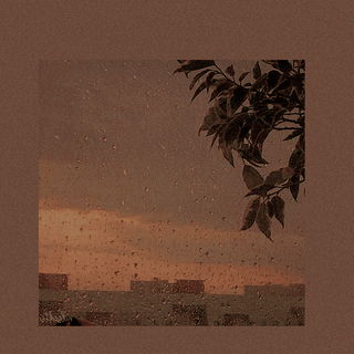 Brown and pink wallpaper