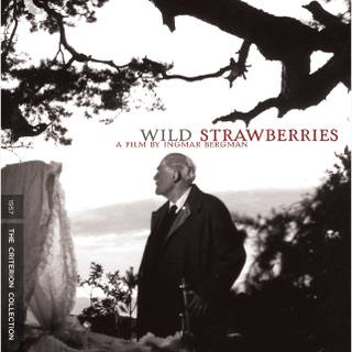 Criterion Collection wallpaper