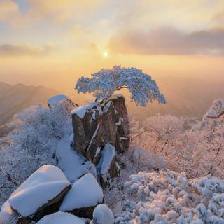 South Korean winter sunset wallpaper