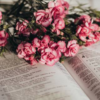 Books and flowers wallpaper