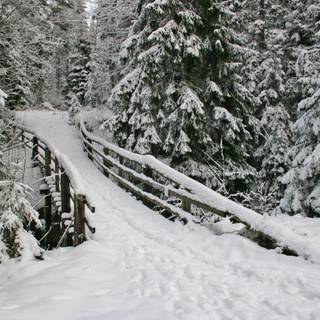Winter scenes with bridge wallpaper