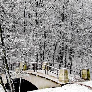 Winter scenes with bridge wallpaper