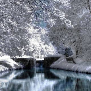Winter scenes with bridge wallpaper