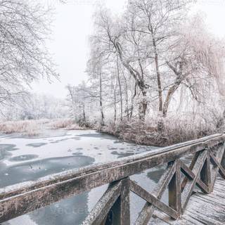 Winter scenes with bridge wallpaper