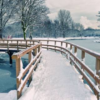 Winter scenes with bridge wallpaper