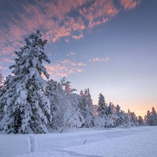 Nature winter PC wallpaper