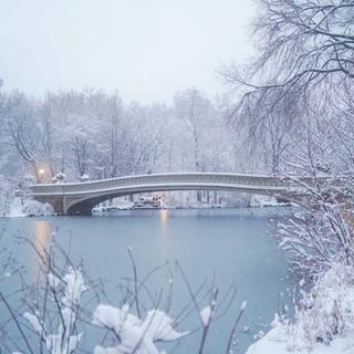Winter scenes with bridge wallpaper