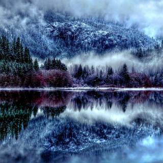 Nature winter PC wallpaper