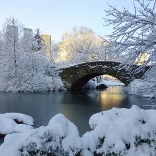 Winter scenes with bridge wallpaper