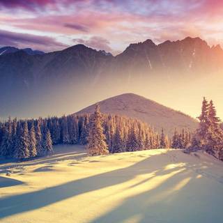 Nature winter PC wallpaper