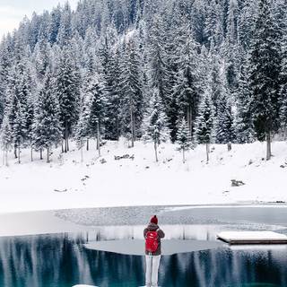 Nature winter PC wallpaper