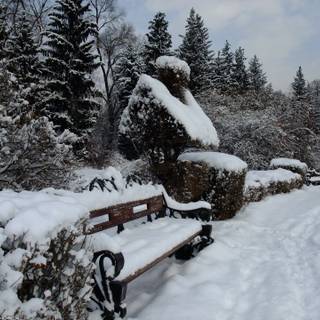 Nature winter PC wallpaper