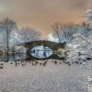 Winter scenes with bridge wallpaper