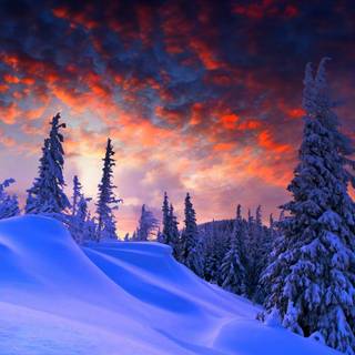Nature winter PC wallpaper