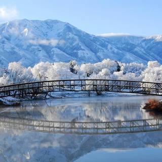 Nature winter PC wallpaper