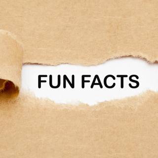 Amazing Facts wallpaper