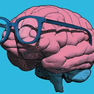 Amazing Facts wallpaper