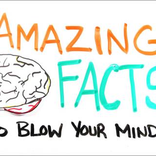 Amazing Facts wallpaper