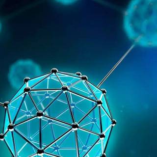 Amazing Facts wallpaper