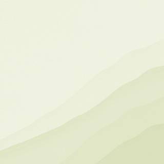 Neutral aesthetic light green wallpaper