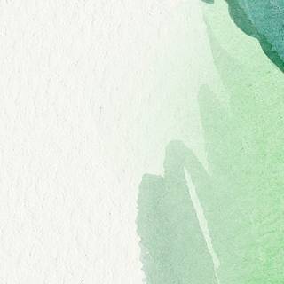 Neutral aesthetic light green wallpaper