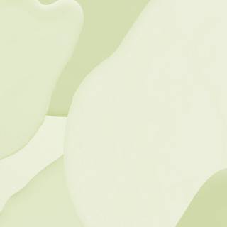 Neutral aesthetic light green wallpaper
