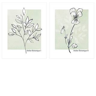 Neutral aesthetic light green wallpaper