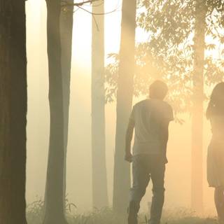 Norwegian Wood wallpaper