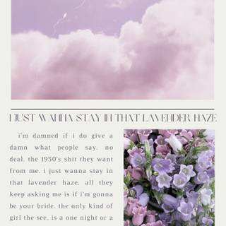 Lavender Haze wallpaper