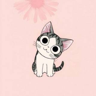 Korean cats wallpaper