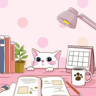 Korean cats wallpaper