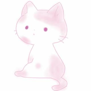 Korean cats wallpaper