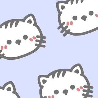 Korean cats wallpaper