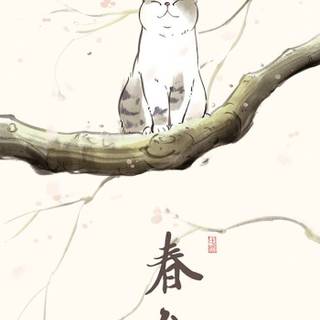 Korean cats wallpaper