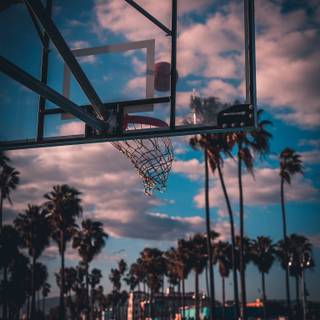 Basketball sunset wallpaper