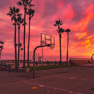 Basketball sunset wallpaper