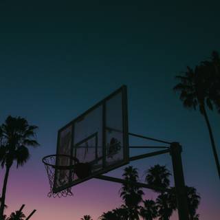 Basketball sunset wallpaper