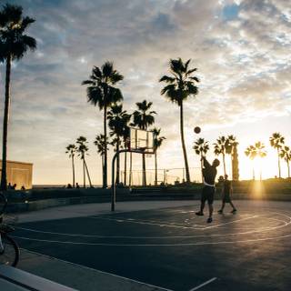 Basketball sunset wallpaper