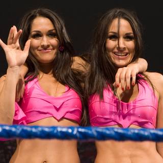 Nikki Bella WWE wallpaper