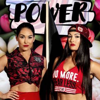 Nikki Bella WWE wallpaper