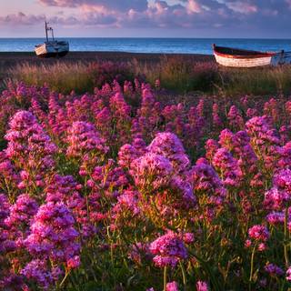 Spring ocean wallpaper