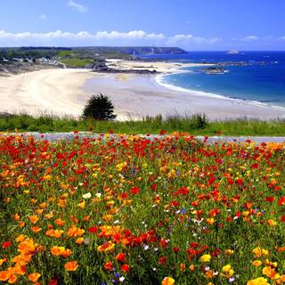 Spring ocean wallpaper