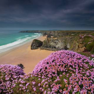 Spring ocean wallpaper