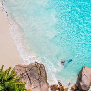 Spring ocean wallpaper