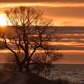 Spring ocean wallpaper