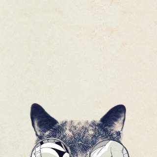 Vertical grey cat wallpaper
