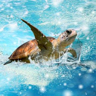 Cute sea turtles wallpaper