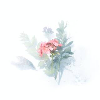 Floral watercolor wallpaper