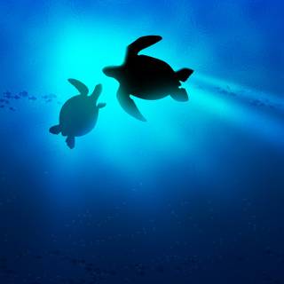 Cute sea turtles wallpaper